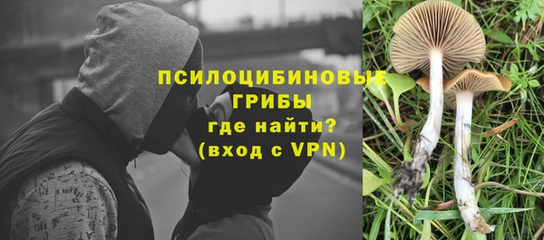 метамфетамин Белокуриха