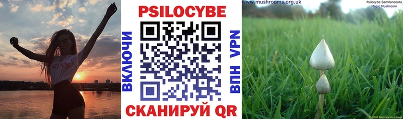 Псилоцибиновые грибы Cubensis  Купить закладки  Мглин 
